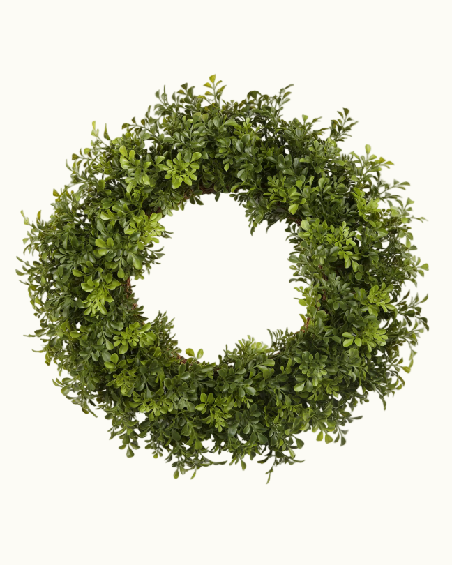 Boxwood Wreath 24"